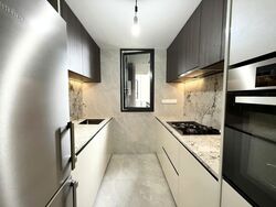 Tembusu Grand (D15), Condominium #535023871
